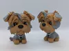 Cartoon Yorkie