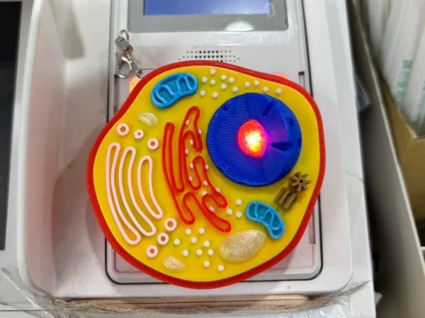 https://makerworld.bblmw.com/makerworld/model/US8ca195905abf98/design/2025-03-14_89e451726792e.jpg