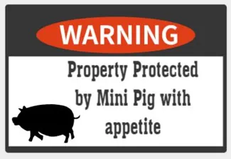 Mini Pig with Appetite warning sign
