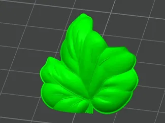 Pumpkin Leaf