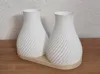 Tray for 2 vases