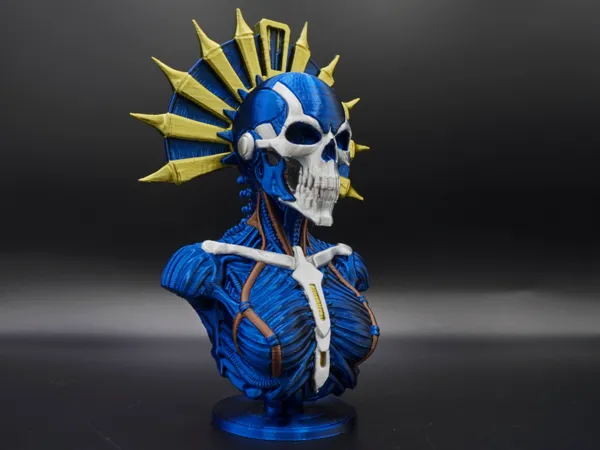 https://makerworld.bblmw.com/makerworld/model/US8ca9da35cbf0af/design/509ef52a8bf4f380.jpg