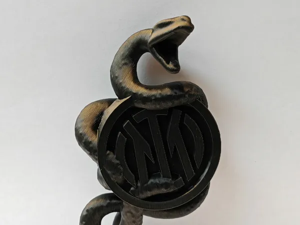 https://makerworld.bblmw.com/makerworld/model/US8caa2a2cc2fe1/design/2025-02-11_158d70381f6f3.jpg