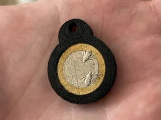 Coin keyring (1 pound)