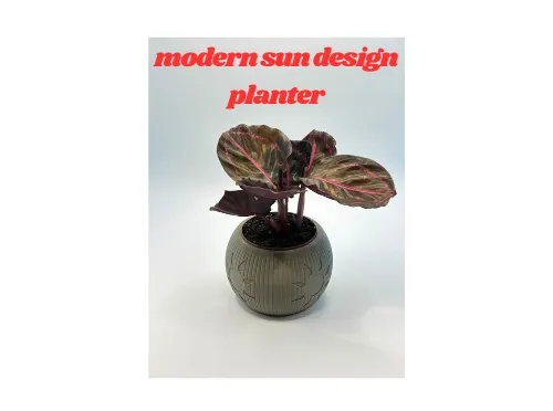 https://makerworld.bblmw.com/makerworld/model/US8cb1b49f74b593/design/2024-12-29_62771842fa789.png