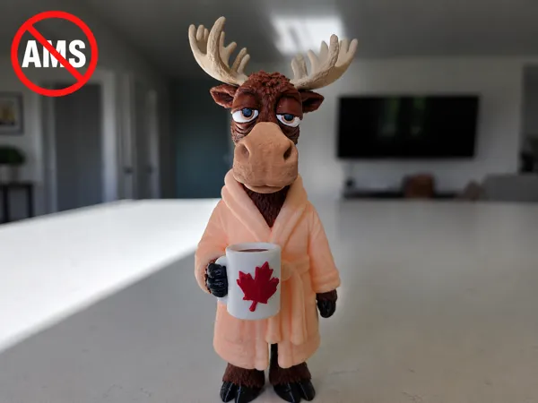 https://makerworld.bblmw.com/makerworld/model/US8cb2aed9befeee/design/c1c8170dc028461d.png