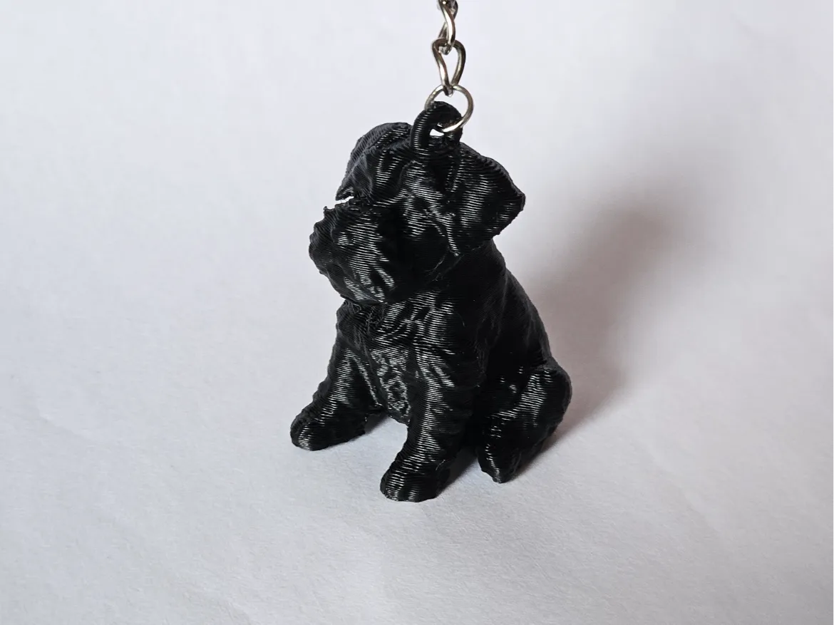Mini Schnauzer Keychain  Remixed by Vostok Labs MakerWorld: Download Free 3D Models - 3D model önizlemesi