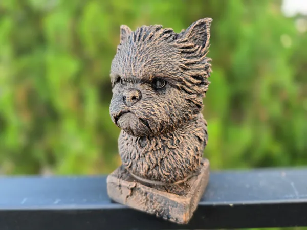 https://makerworld.bblmw.com/makerworld/model/US8cb74b0264a231/design/2025-10-01_808a219582586.jpg