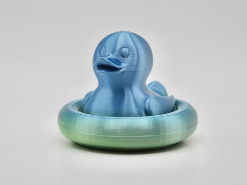 Inner Tube Duck