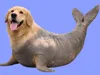 Golden Elephant Retriever "Charlie" - 0.16mm High Quality .4