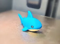 Cute Flexi Shark 
