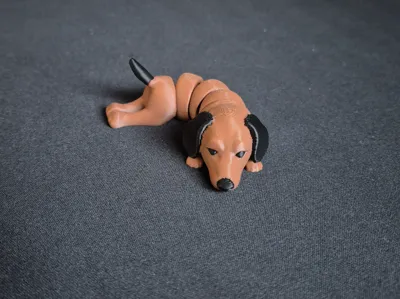 Articulated Dachshund – Cute Flexi Wiener Dog
