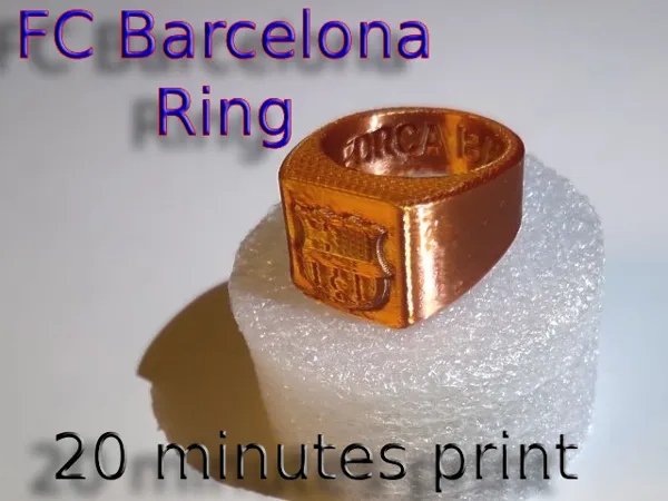 https://makerworld.bblmw.com/makerworld/model/US8cbe8c50faf29/design/dae7b4d549e66f2a.png