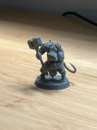 0.08mm layer, 3 walls, 10% infill