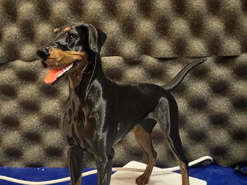 doberman realistico