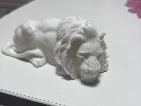 https://makerworld.bblmw.com/makerworld/model/US8cc353d7d4afcd/design/2025-01-02_975013811c00d.jpg