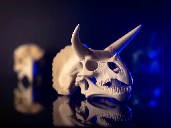 https://makerworld.bblmw.com/makerworld/model/US8cc8737d9fcaef/design/2025-04-14_6da5b01b06141.jpg