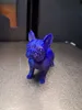 Standard mini dog layer 15mm; height 53mm