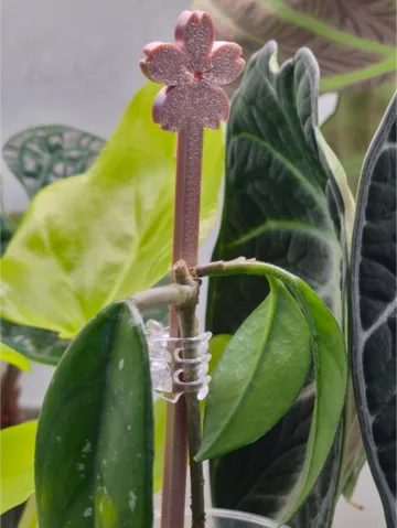 Soporte: Flower support 18cm — vista de referencia 2