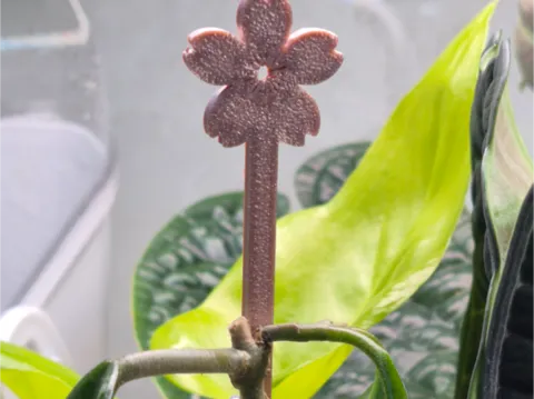 Soporte: Flower support 18cm — referencia de MakerWorld
