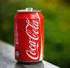 330ml 2x2 Regular Can
