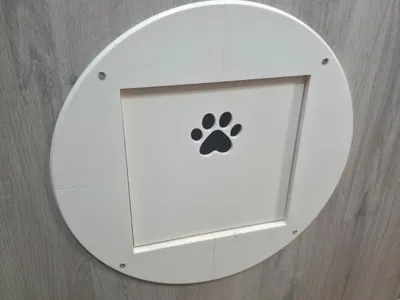 Cat door with frame