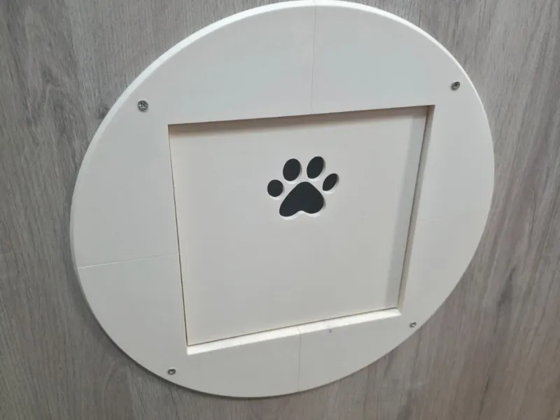 Cat door with frame