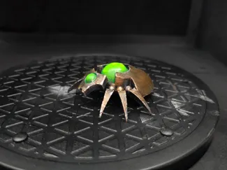 Oversized Canoptek Scarab from WH40K