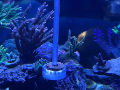 Marine Grazer Feeding Ring Holder for Glass Brace