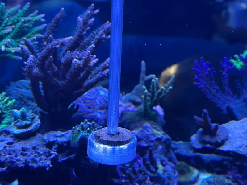 Marine Grazer Futterringhalter für Glassteg