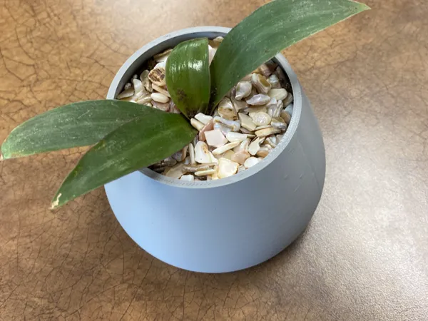Pot de jardin basique