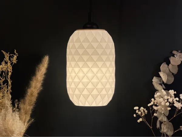 https://makerworld.bblmw.com/makerworld/model/US8cdd71a8736d6c/design/2025-01-21_c0924d51a914a.jpeg