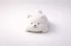 Shiba Inu Shiba Inu