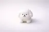 Bichon Frise