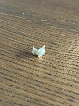 Accesorio para boquillas: The smallest chihuahua in the world (Nozzle 0.4) — vista de referencia 3