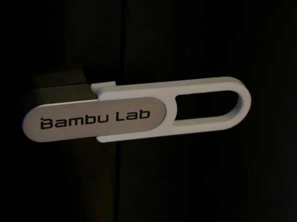https://makerworld.bblmw.com/makerworld/model/US8ce698a2382c34/design/2024-07-14_ca1c46043b86c.jpg