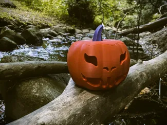 Halloween Pumpkin Bowl