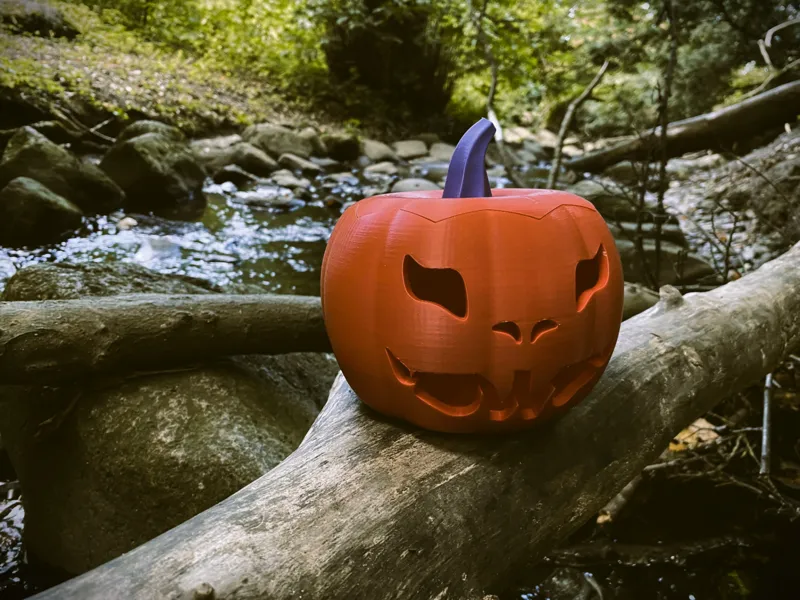 Halloween Pumpkin Bowl
