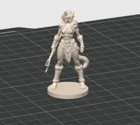 50mm, 0.08mm layer, 2 walls, 10% infill