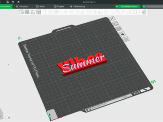 Schriftzug SummerVibes