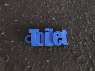 Toilet keychain