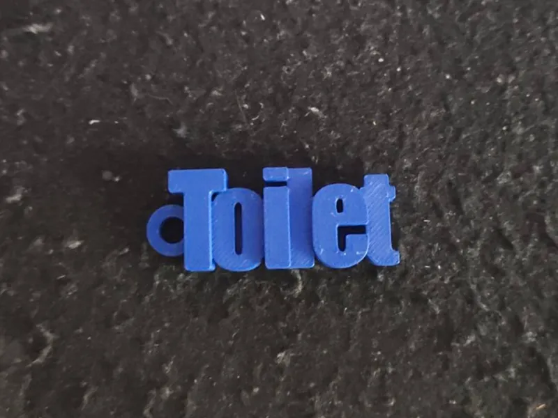 Toilet keychain