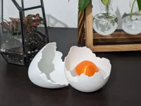 Genesi di Luce
