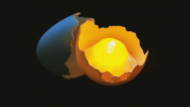 ●   Ｇｅｎｅｓｉ ｄｉ Ｌｕｃｅ    ●