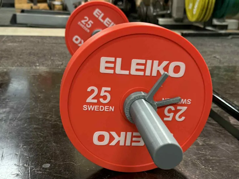 Weight bar with weights for toddlers