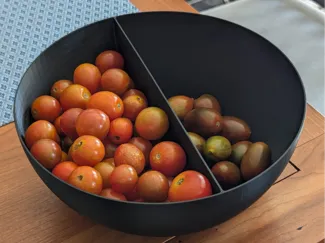 Divided Bowl