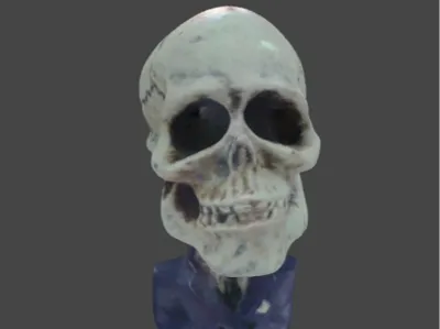 skeleton suit