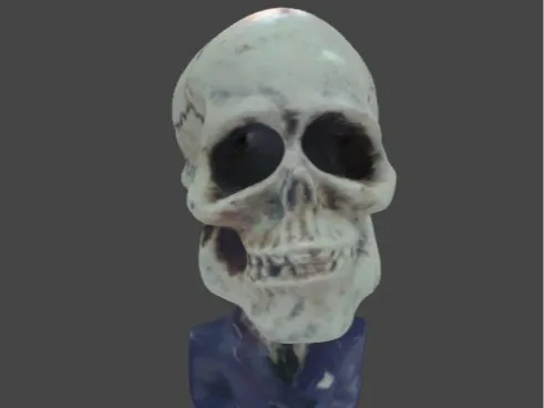 skeleton suit