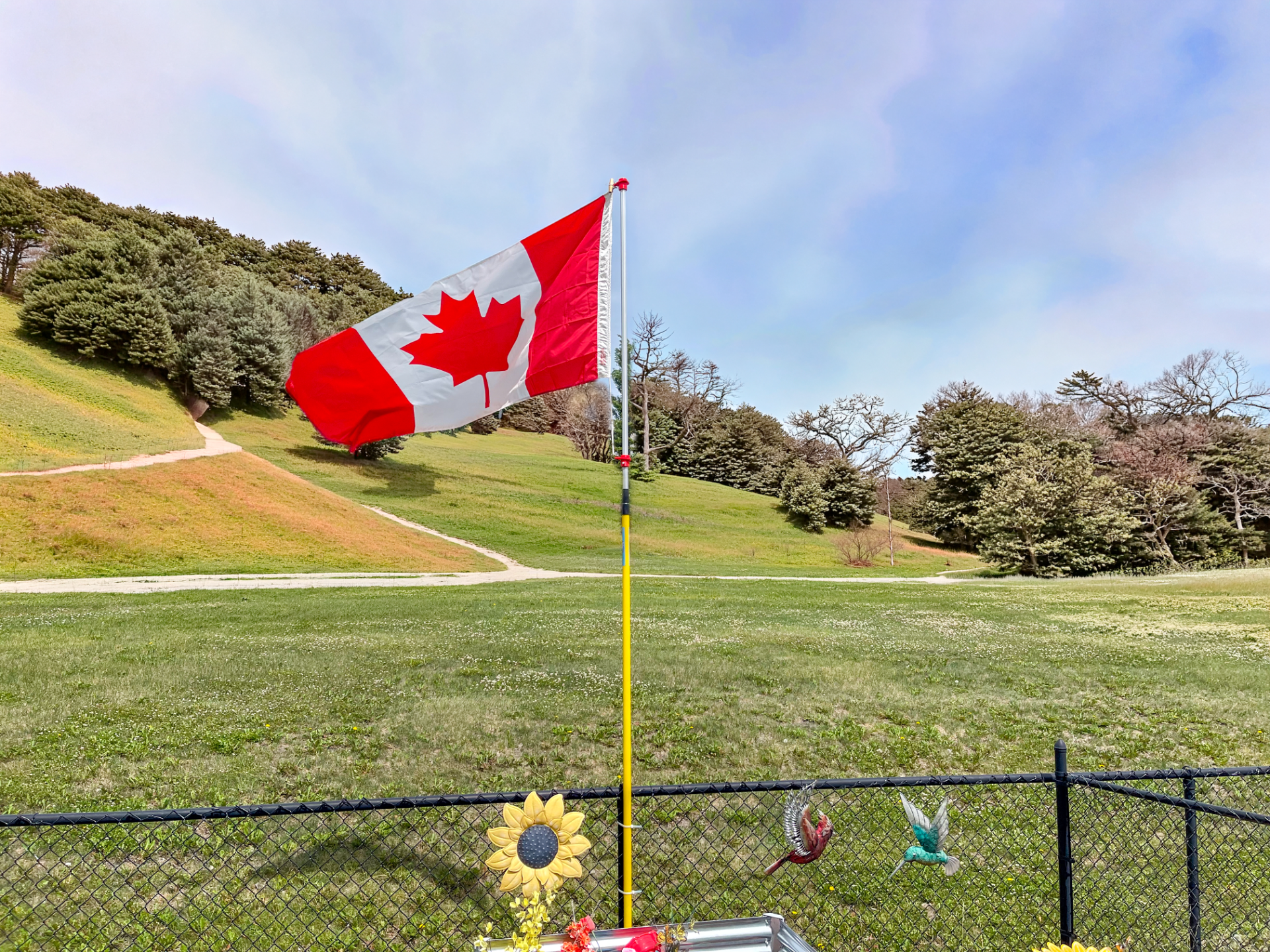 Flag Swivels for Professional Painters Pole