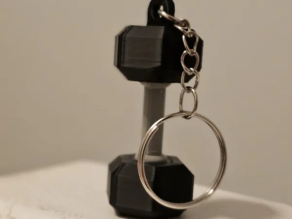 https://makerworld.bblmw.com/makerworld/model/US8d000405173b64/design/2025-02-08_d9811082b5dc6.jpeg
